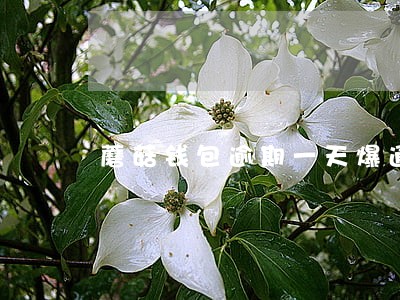 蘑菇钱包逾期一天爆通讯录吗 蘑菇钱包逾期一天爆通讯录吗