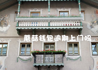 蘑菇钱包逾期上门吗