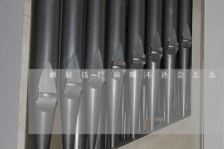 蘑菇钱包逾期不还会怎么样 蘑菇钱包逾期不还会怎么样