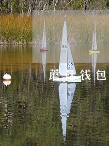 蘑菇钱包逾期会影响信誉吗 蘑菇钱包逾期会影响信誉吗