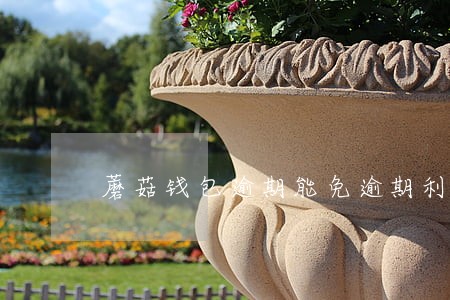 蘑菇钱包逾期能免逾期利息吗