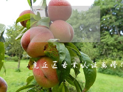 虎丘区专业认证离婚律师 虎丘区专业认证离婚律师