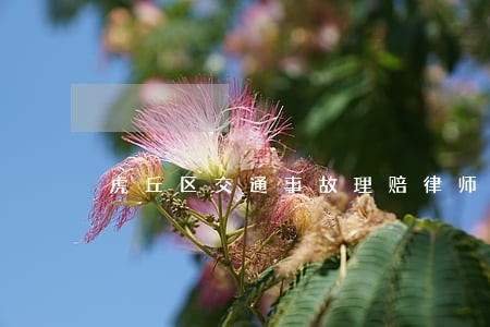 虎丘区交通事故理赔律师
