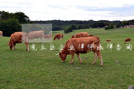 虎丘区企业律师法律咨询 虎丘区企业律师法律咨询