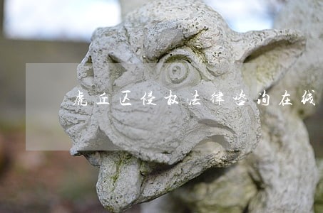虎丘区侵权法律咨询在线 虎丘区侵权法律咨询在线