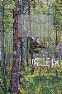 虎丘区办理债务律师怎么委托 虎丘区办理债务律师怎么委托