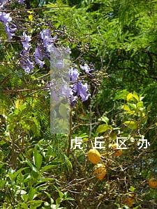 虎丘区办理民事债务律师咨询 虎丘区办理民事债务律师咨询