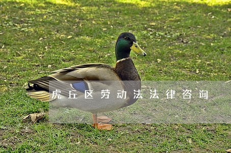 虎丘区劳动法法律咨询 虎丘区劳动法法律咨询