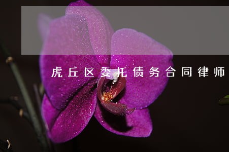 虎丘区委托债务合同律师怎么委托 虎丘区委托债务合同律师怎么委托
