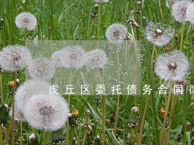 虎丘区委托债务合同律师费用 虎丘区委托债务合同律师费用