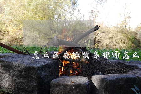 虎丘区委托债务律师怎么委托 虎丘区委托债务律师怎么委托