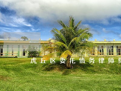 虎丘区委托债务律师费用 虎丘区委托债务律师费用