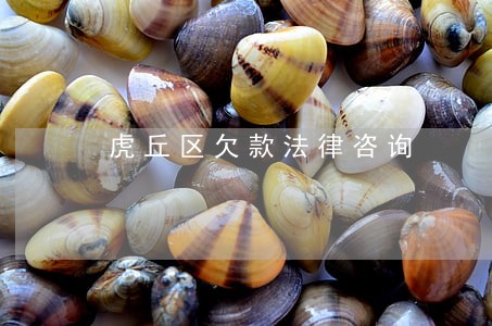 虎丘区欠款法律咨询 虎丘区欠款法律咨询