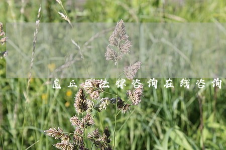 虎丘区法律咨询在线咨询 虎丘区法律咨询在线咨询
