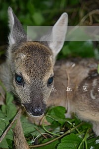 虎丘区法律咨询服务热线 虎丘区法律咨询服务热线