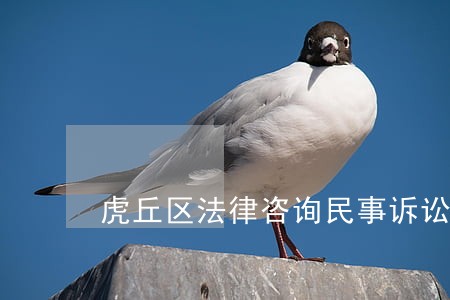 虎丘区法律咨询民事诉讼 虎丘区法律咨询民事诉讼