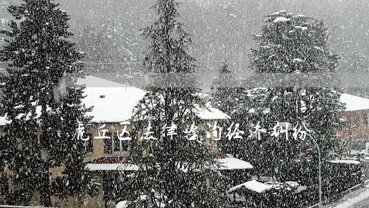虎丘区法律咨询经济纠纷