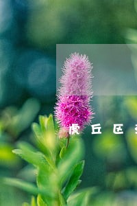 虎丘区法律咨询记录 虎丘区法律咨询记录
