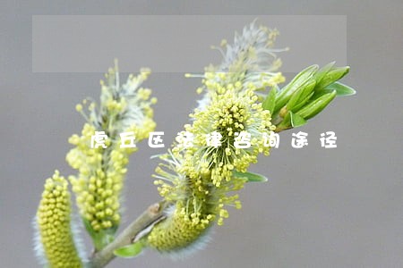虎丘区法律咨询途径 虎丘区法律咨询途径