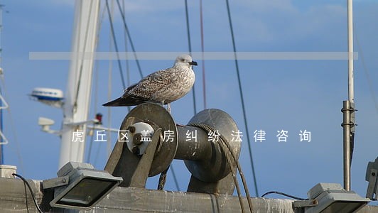 虎丘区盖房纠纷法律咨询 虎丘区盖房纠纷法律咨询