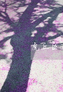 虎丘区离婚律师事务所 虎丘区离婚律师事务所