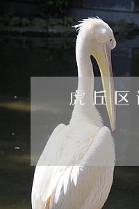 虎丘区请债务合同律师哪里找 虎丘区请债务合同律师哪里找