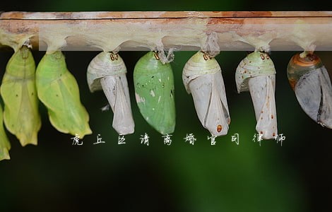 虎丘区请离婚官司律师 虎丘区请离婚官司律师