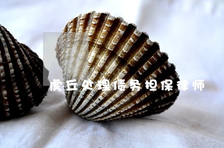 虎丘处理债务担保律师 虎丘处理债务担保律师