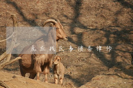虎丘找民事债务律师 虎丘找民事债务律师