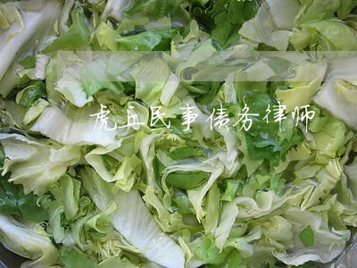 虎丘民事债务律师 虎丘民事债务律师