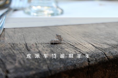 虎派车贷逾期半年 虎派车贷逾期半年