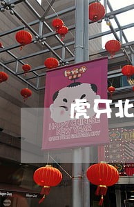 虎牙北竞莉莉怎么违法了 虎牙北竞莉莉怎么违法了