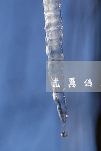 虎翼信用逾期还能借吗 虎翼信用逾期还能借吗