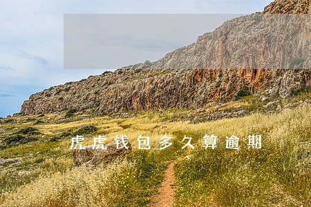 虎虎钱包多久算逾期 虎虎钱包多久算逾期