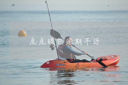 虎虎钱包逾期不还 虎虎钱包逾期不还