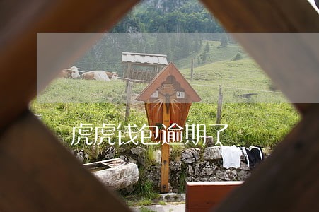 虎虎钱包逾期了 虎虎钱包逾期了