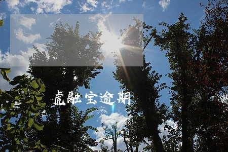 虎融宝逾期 虎融宝逾期