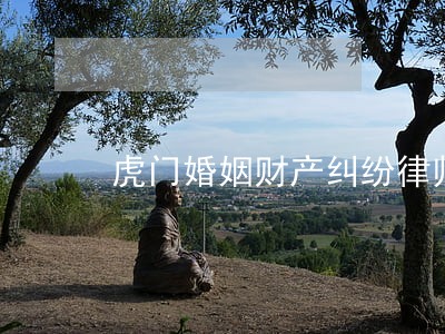 虎门婚姻财产纠纷律师