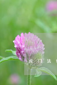 虎门法律援助咨询电话 虎门法律援助咨询电话