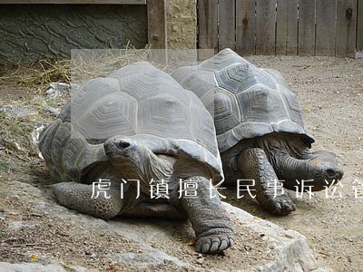 虎门镇擅长民事诉讼管辖纠纷律师 虎门镇擅长民事诉讼管辖纠纷律师