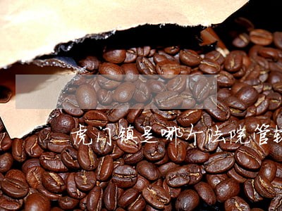 虎门镇是哪个法院管辖 虎门镇是哪个法院管辖