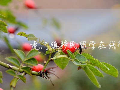 虎门镇移民留学在线律师 虎门镇移民留学在线律师