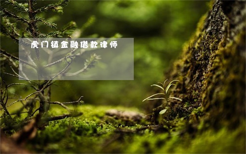 虎门镇金融借款律师 虎门镇金融借款律师