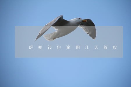 虎鲸钱包逾期几天催收 虎鲸钱包逾期几天催收