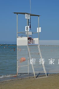 虐待家庭成员的法律