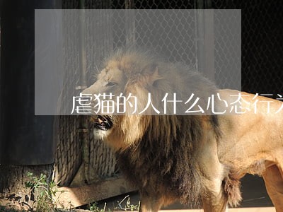 虐猫的人什么心态行为违法吗 虐猫的人什么心态行为违法吗