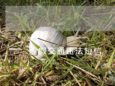 虚假交通违法短信 虚假交通违法短信