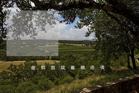 虚假借款逾期还钱 虚假借款逾期还钱