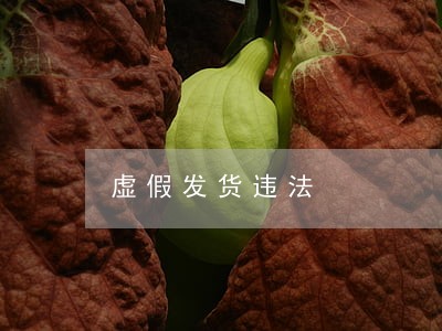 虚假发货违法