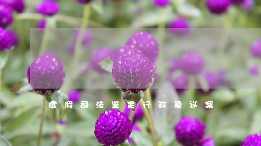 虚假司法鉴定行政复议案 虚假司法鉴定行政复议案